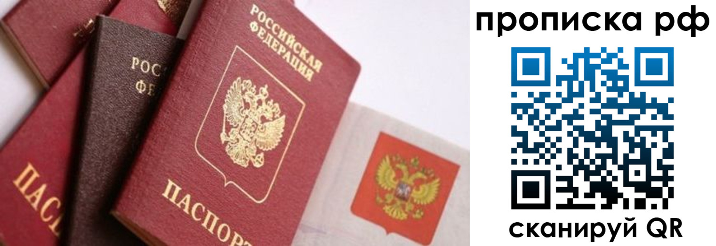 прописка ребенка в Зеленогорске